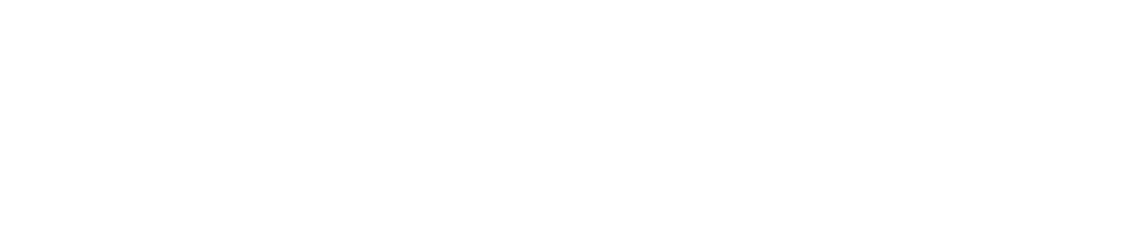 DiviWP Logo